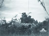 NEW GUINEA CAMPAIGN January 1942 - September 1945 