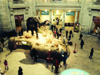 A DC Adventure – Museums, Monuments & Music