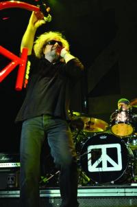 CHICKENFOOT
