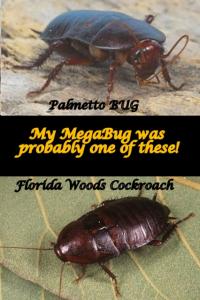 Mega Bug