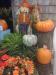 October 13, 2017 - Photo By: Brenda Golden