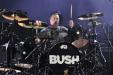 Bush