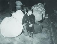 AMERICAS CONCENTRATION CAMPS